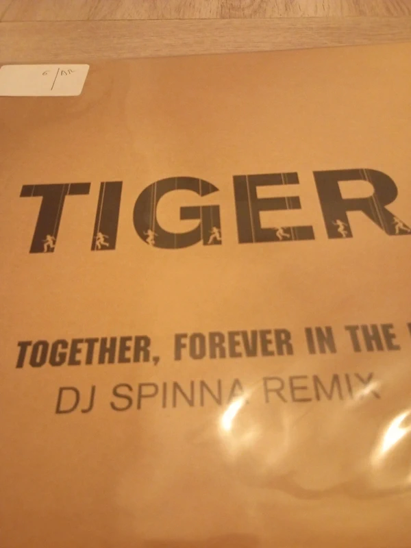 Vinyle tiger go on together forever dj spinna remix