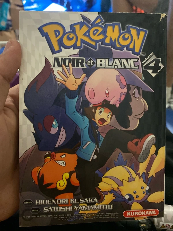 Pokemon noir et blanc 4