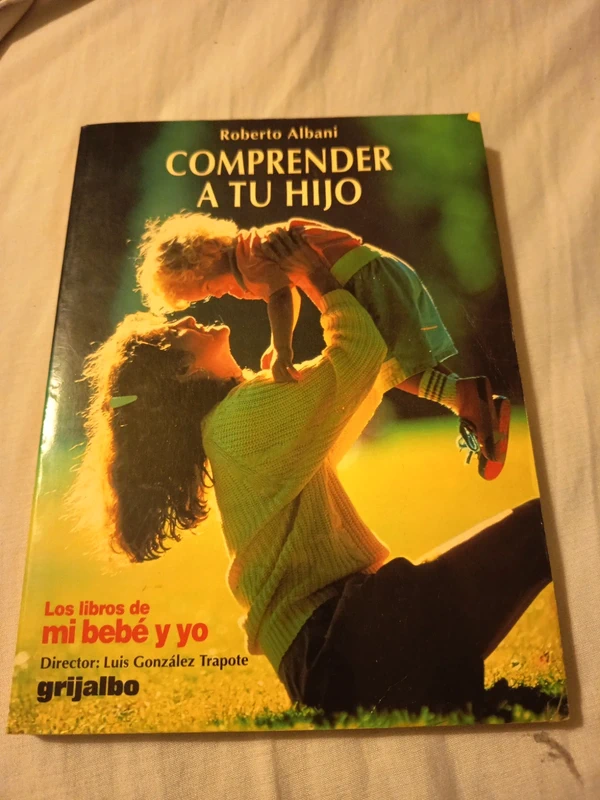 Comprender a tu hijo