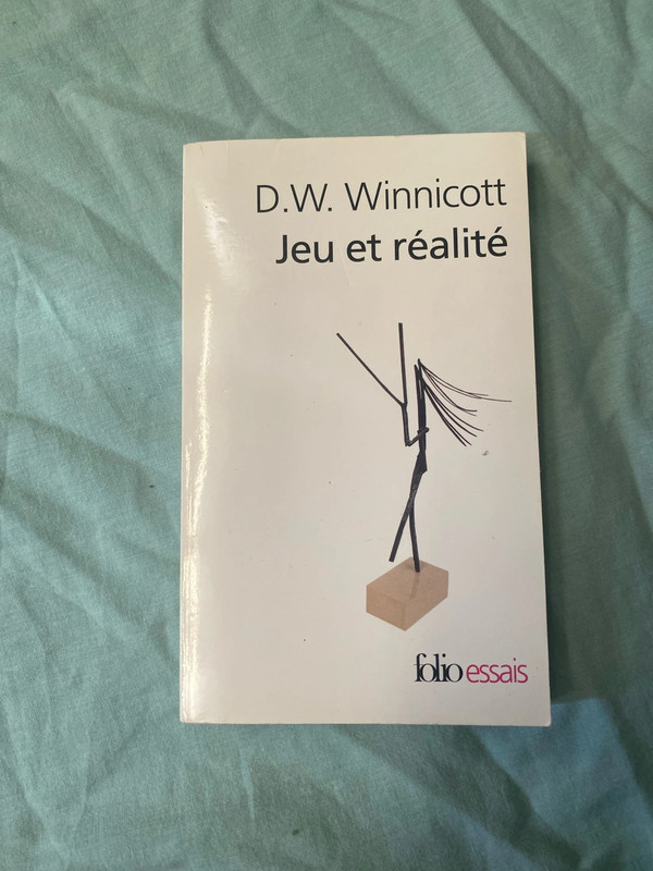 Livre « jeu et réalité »