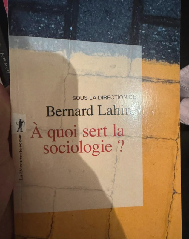 À quoi sert la sociologie , Bernard lahire