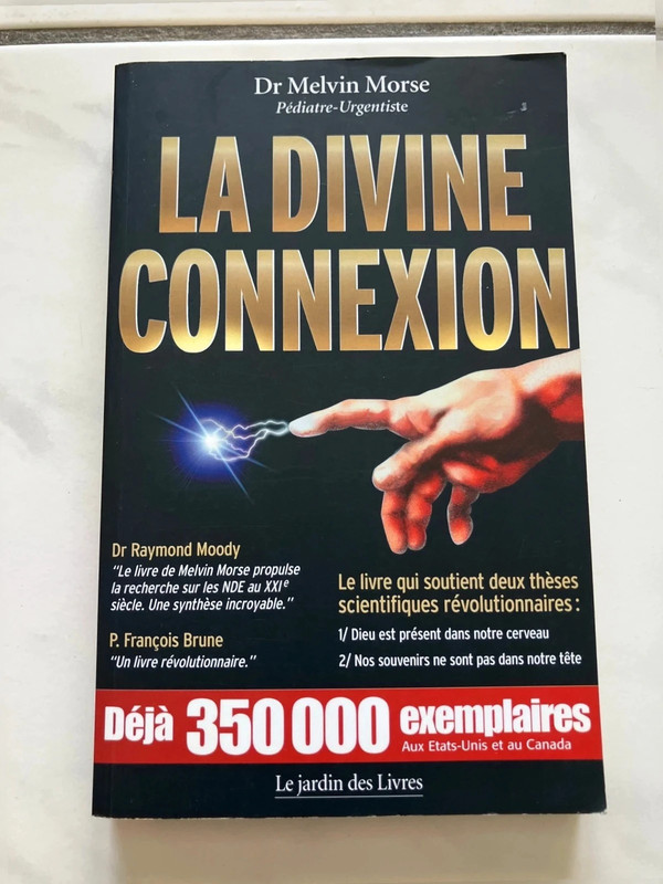 Livre la Divine connexion
