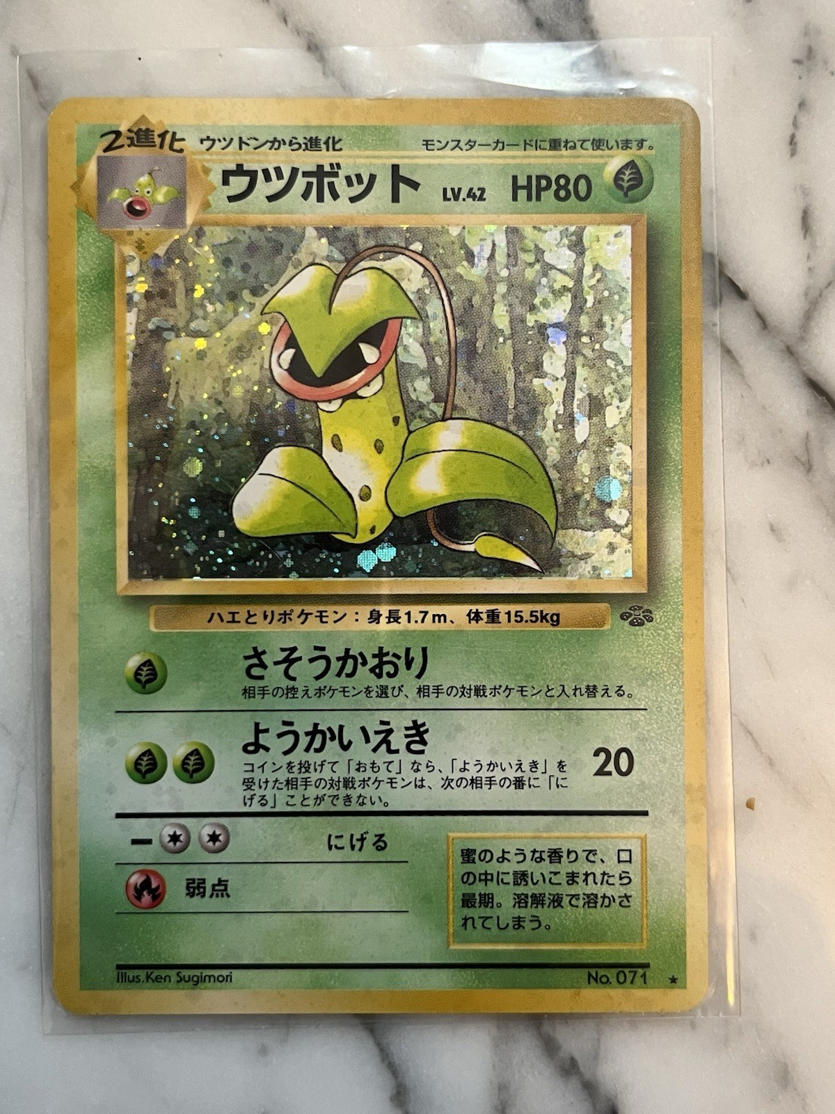 Victreebel giapponese n. Carta Pokemon 071 TCG Jungle Holo Vintage