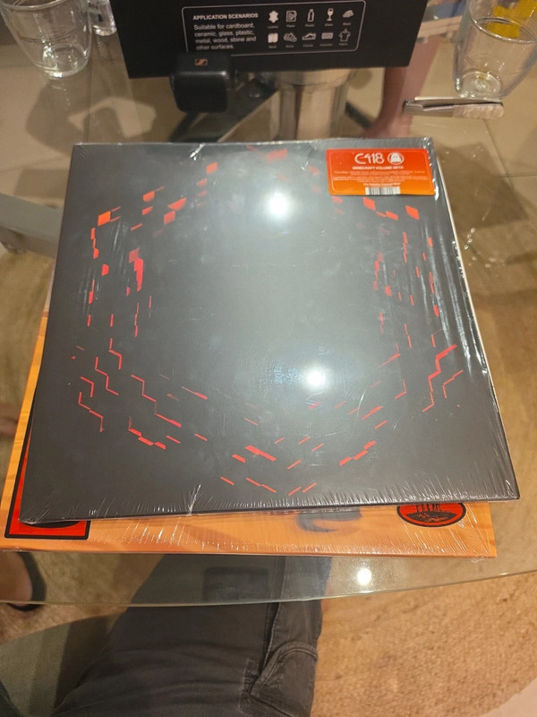 Vinyle minecraft bêta neuf