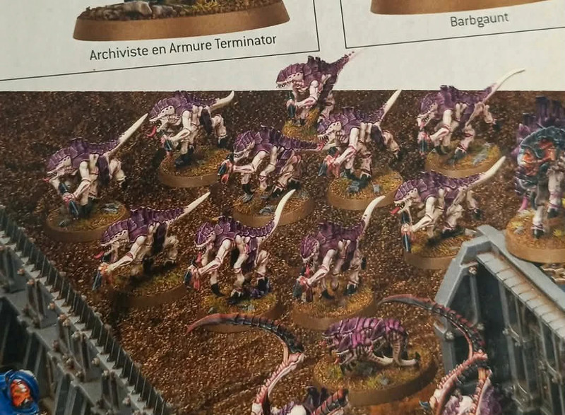 10 Termagants + 1 nuée Tyranide Neufs sur grappe Warhammer 40000