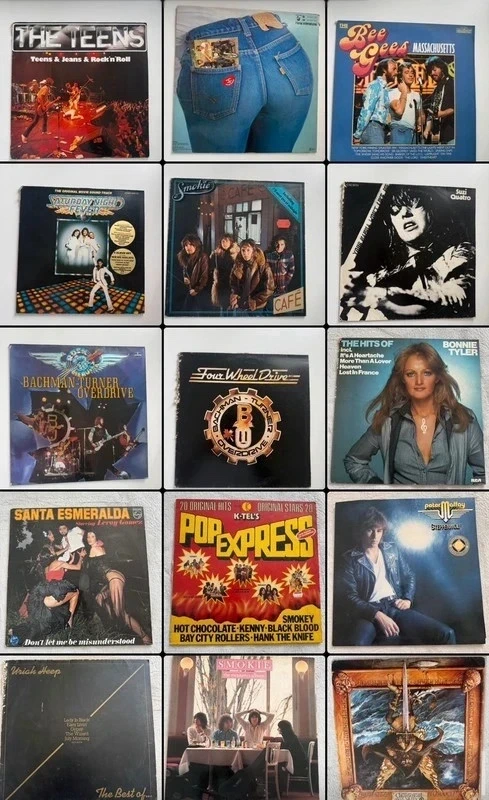 Schallplatten Sammlung – ca. 20 Vinyl LPs – einzeln oder komplett