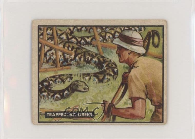 1950 Topps Bring 'Em Back Alive Trapped by Greed #70 0s4