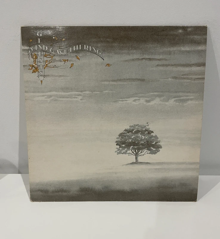 Vinyle Genesis - Windand Wuthering (9103114)