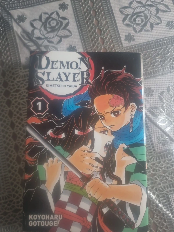 Tome 1 demon slayer