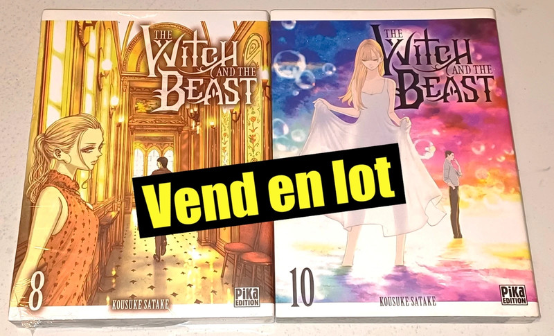 The witch and the beast : 2 tomes (sur 10)