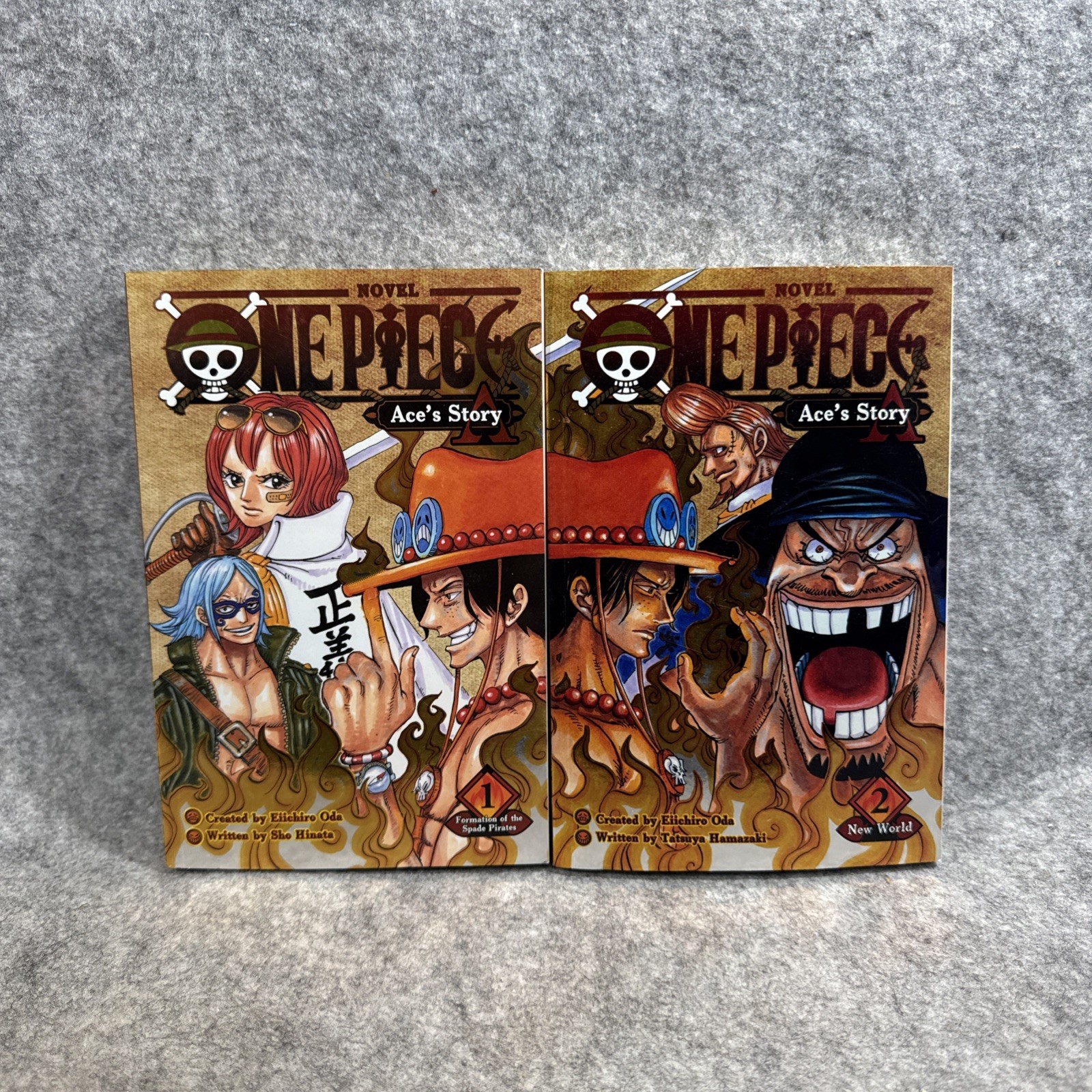 Lotto libri tascabili One Piece Ace's Story light novel volume 1 e 2