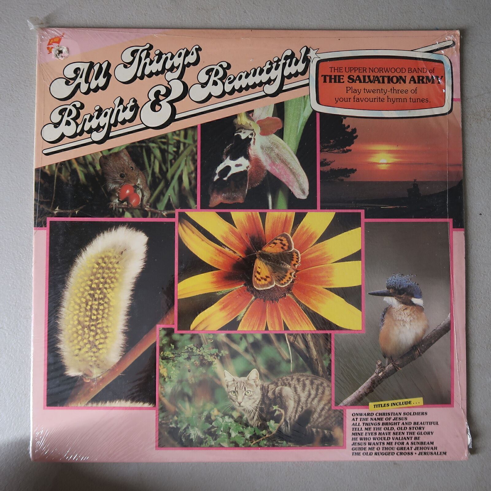 THE SALVATION ARMY ALL THINGS BRIGHT & BEAUTIFUL VINYL LP BANNERS &BONNETS VG 93