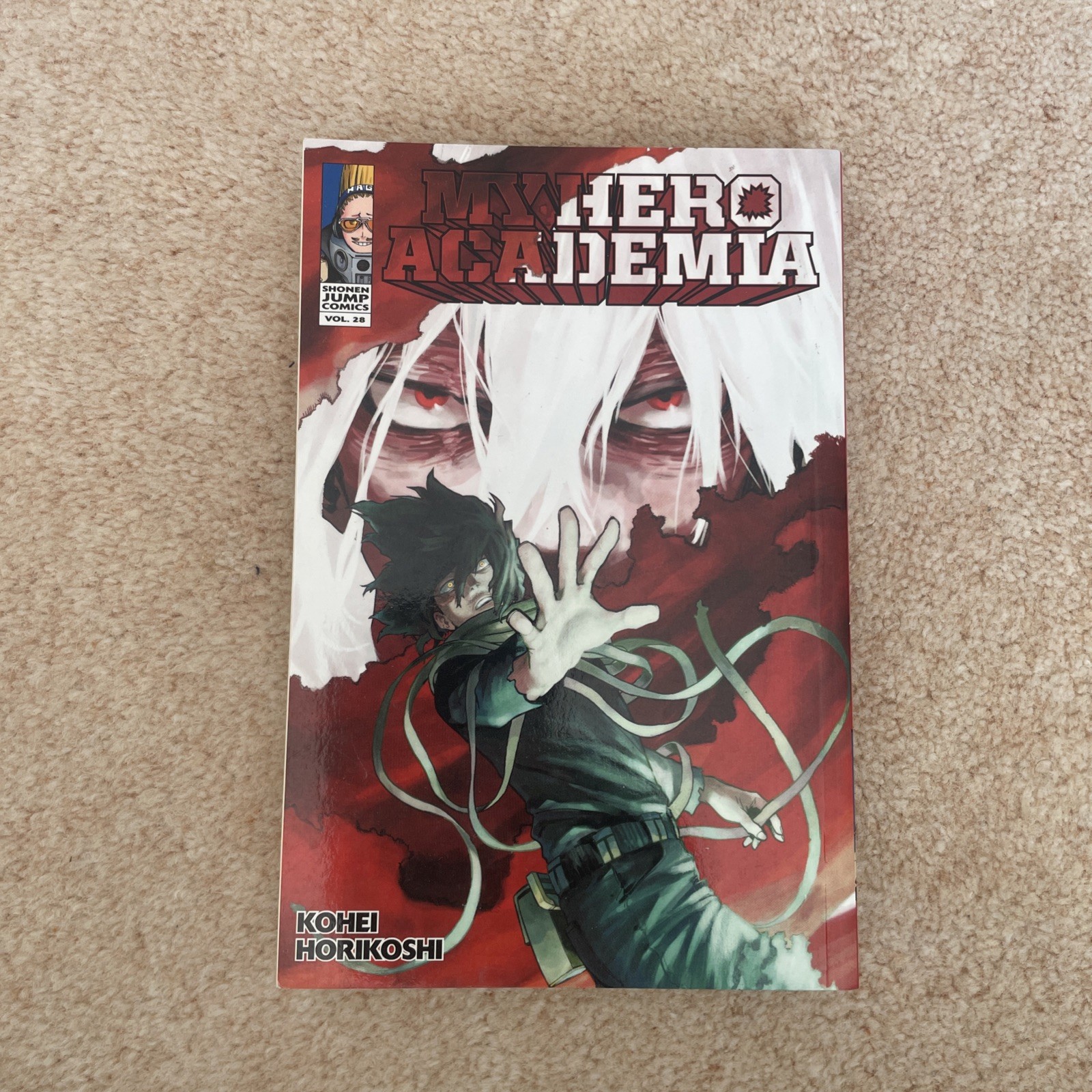 My Hero Academia #28 (VIZ Media June 2021)
