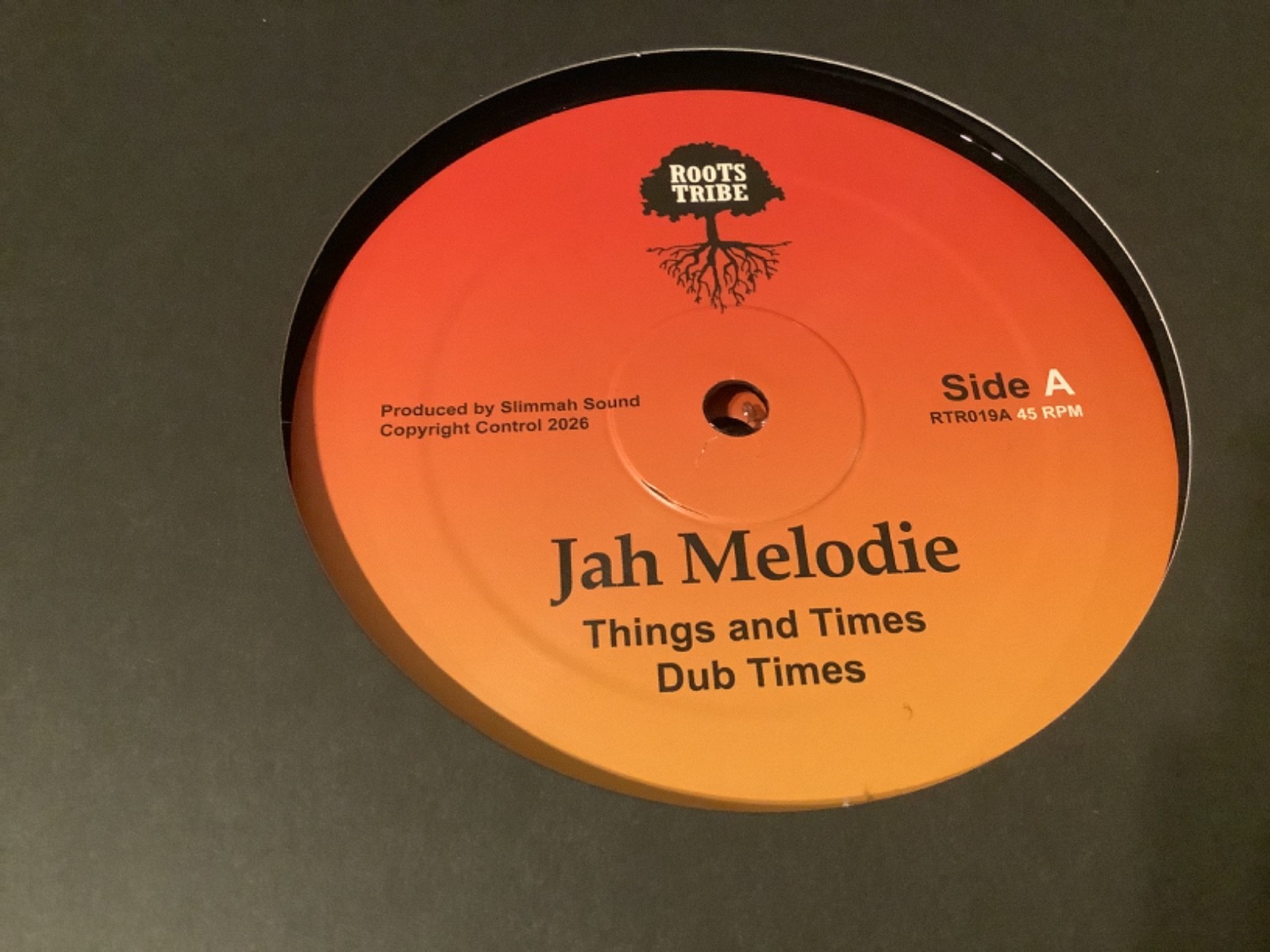 Jah Melodie , Things & Times , Prince Chamba , Jah Almighty  ,12”Tribe.