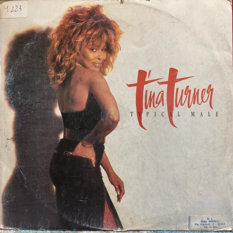 Disco Mix vinile - Tina Turner - Tipical male