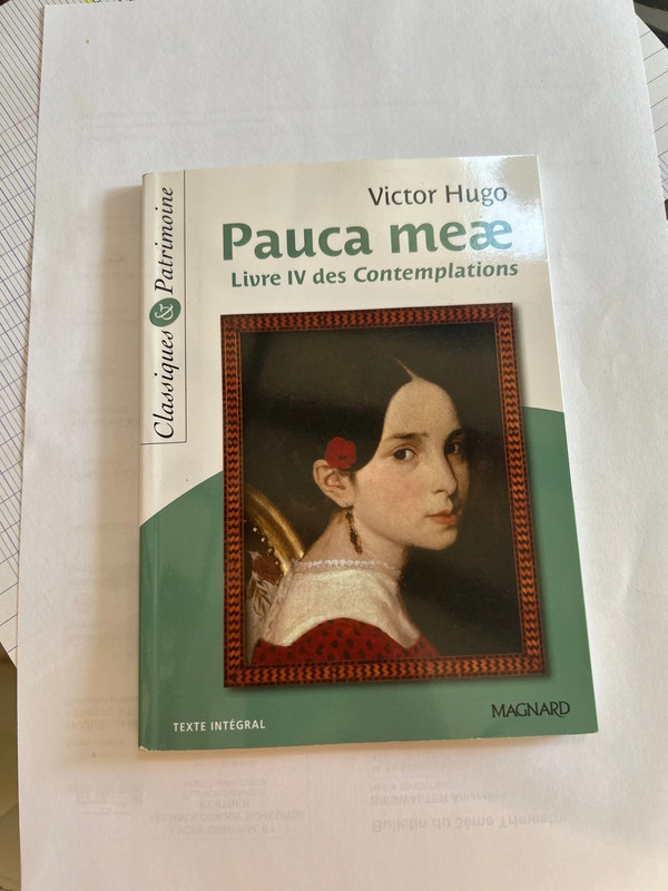 Pauca meae