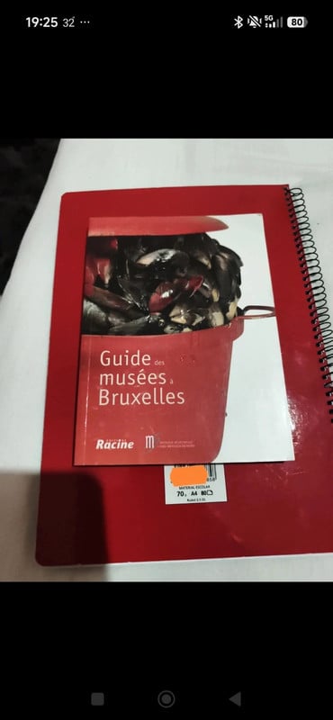 Libro guide musees bruxelles