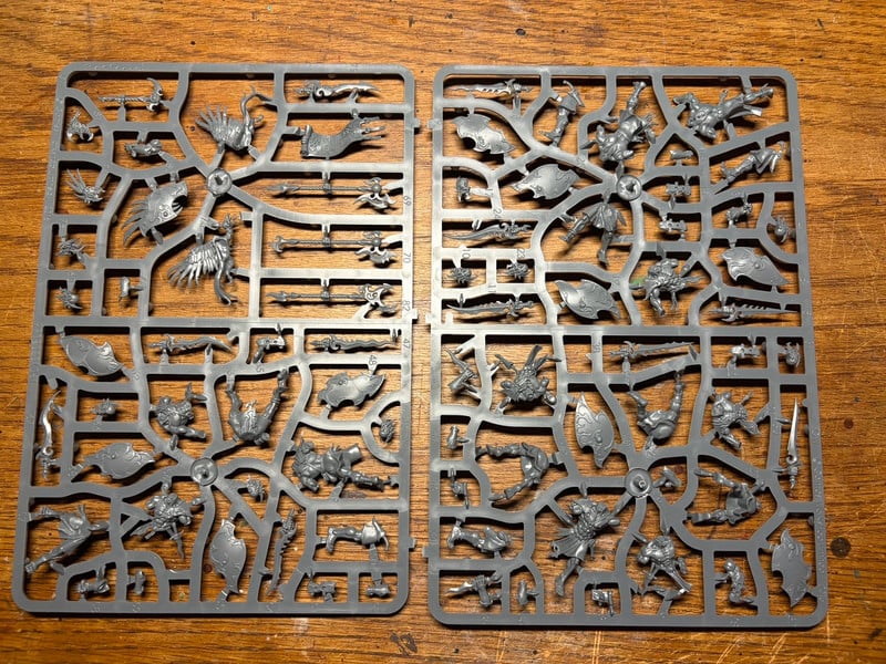 Kairic Acolytes