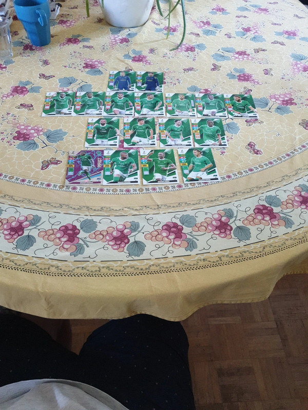 Équipe de foot st Étienne panini 2024 2025