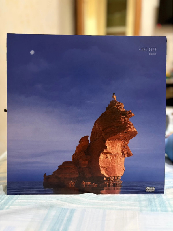 vinile bresh