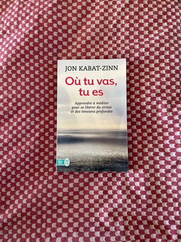 Ou tu vas tu es