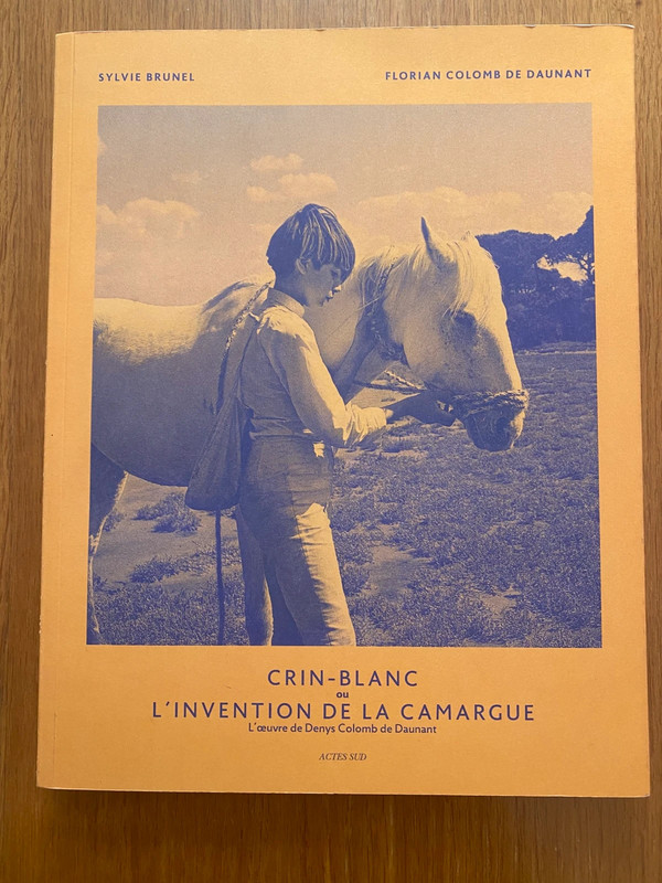Crin-Blanc ou l'invention de la Camargue