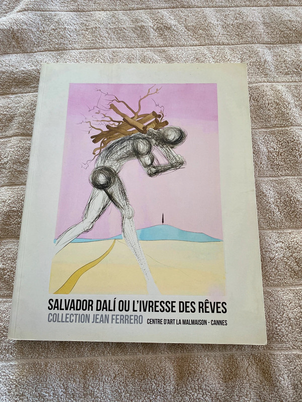Salvador Dali ou l ivresse des rêves comme neuf 9782916261416
