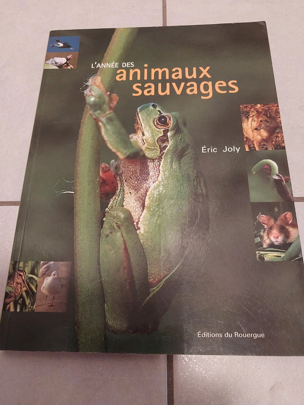 L'année des animaux sauvages d'Éric Joly