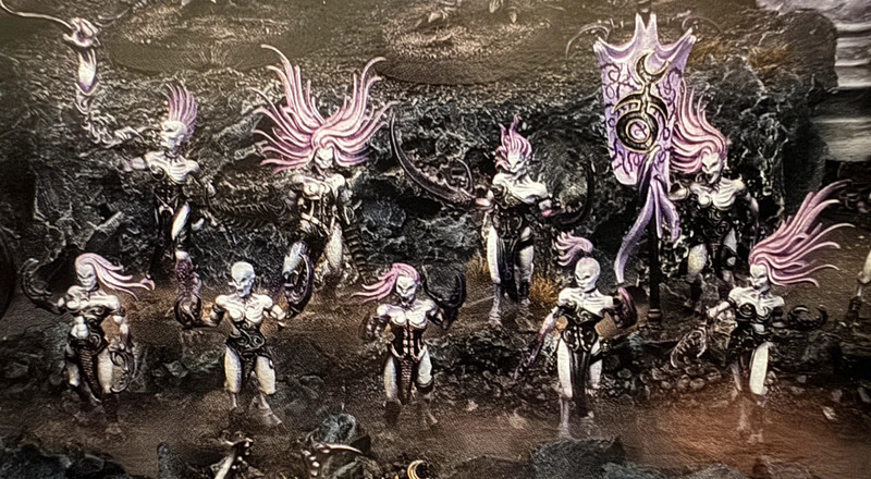 10 X demonettes de Slaanesh Hedonites of Slaanesh Warhammer Age of Sigmar