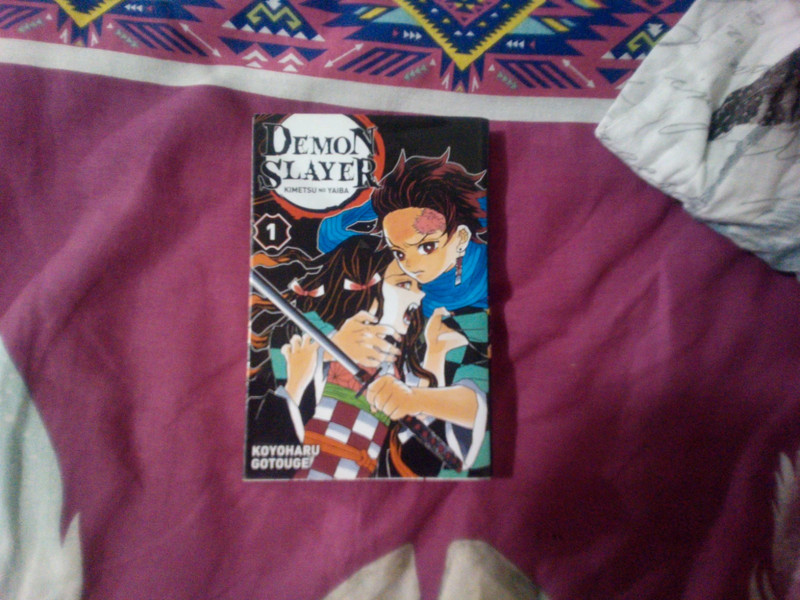Manga demon slayer