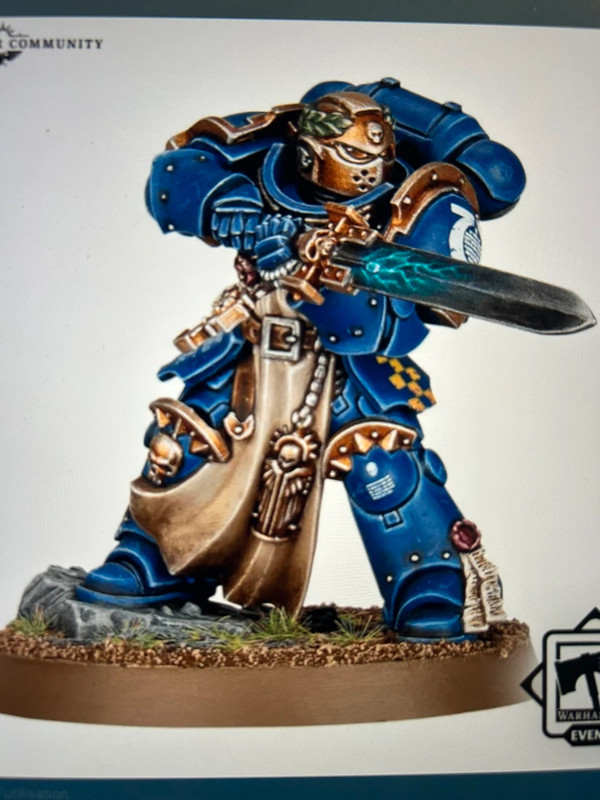 Primaris Company Champion