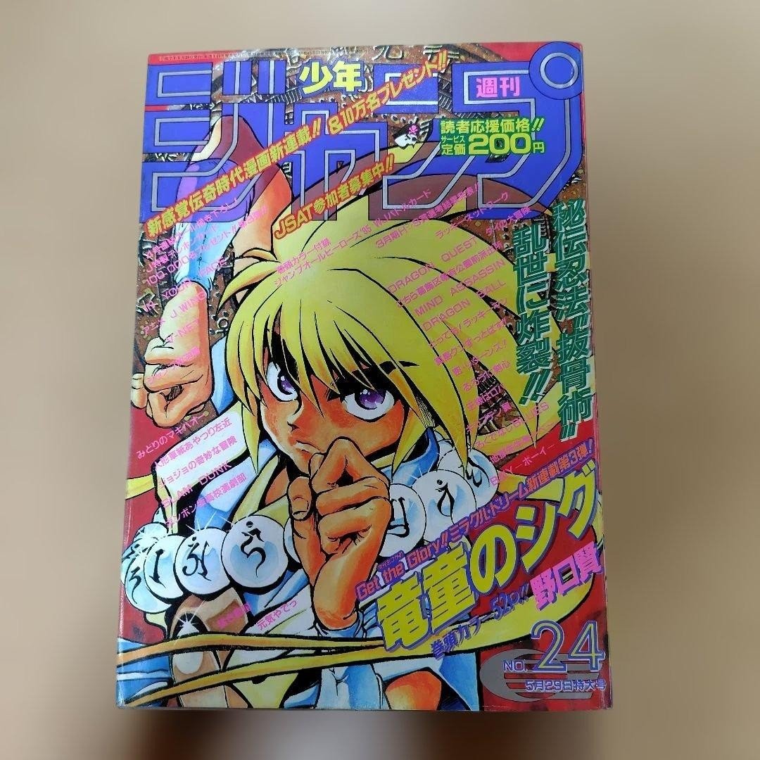 Settimanale Shonen Jump 1995 Numero 24