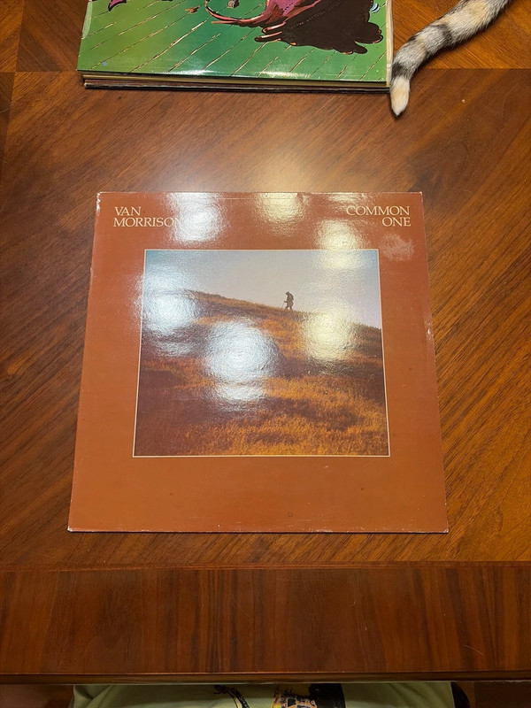 Vinilo Van Morrison Common One