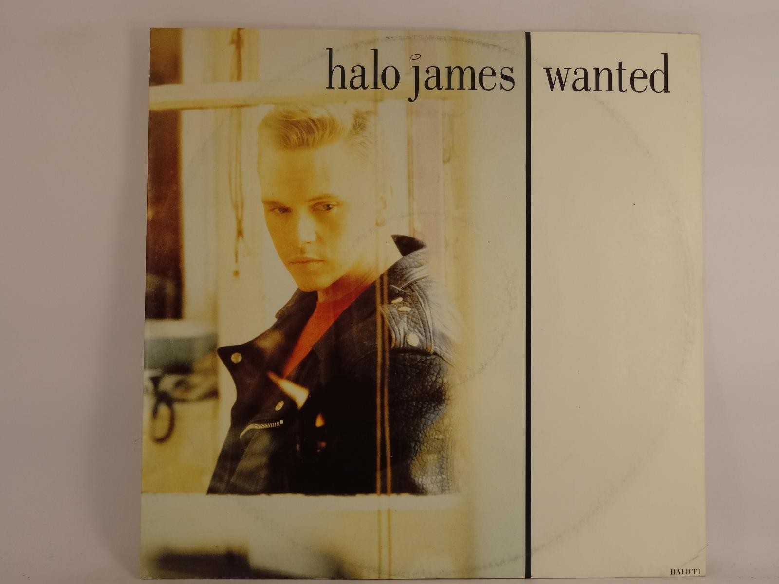 HALO JAMES WANTED (292) 3 Track 12" Single including Picture Sleeve EPIC