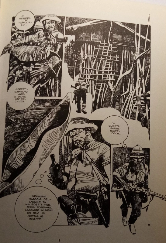 Sergio Toppi "Viso nascosto"