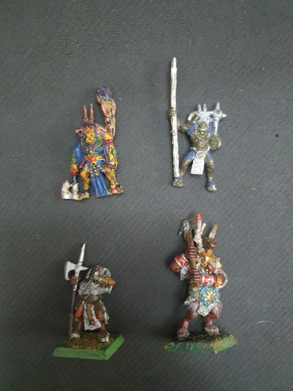 Warhammer fantasy beastmen incomplete