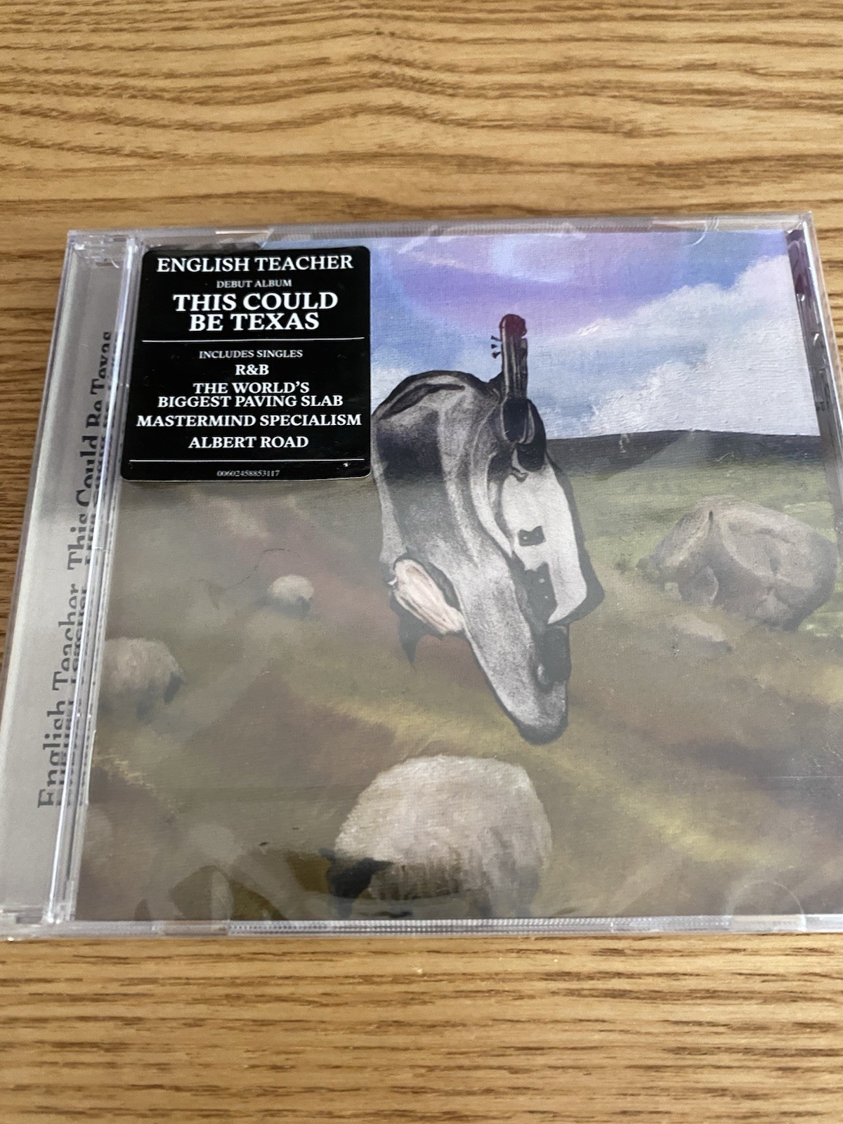 English Teacher This Could Be Texas (2024 CD)