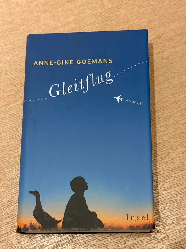 Buch „Gleitflug“ von Anne-Gine-Goemans, Roman