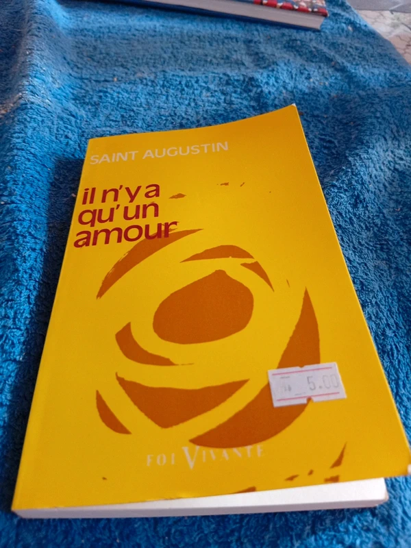 Saint Augustin il n'y a qu'un amour