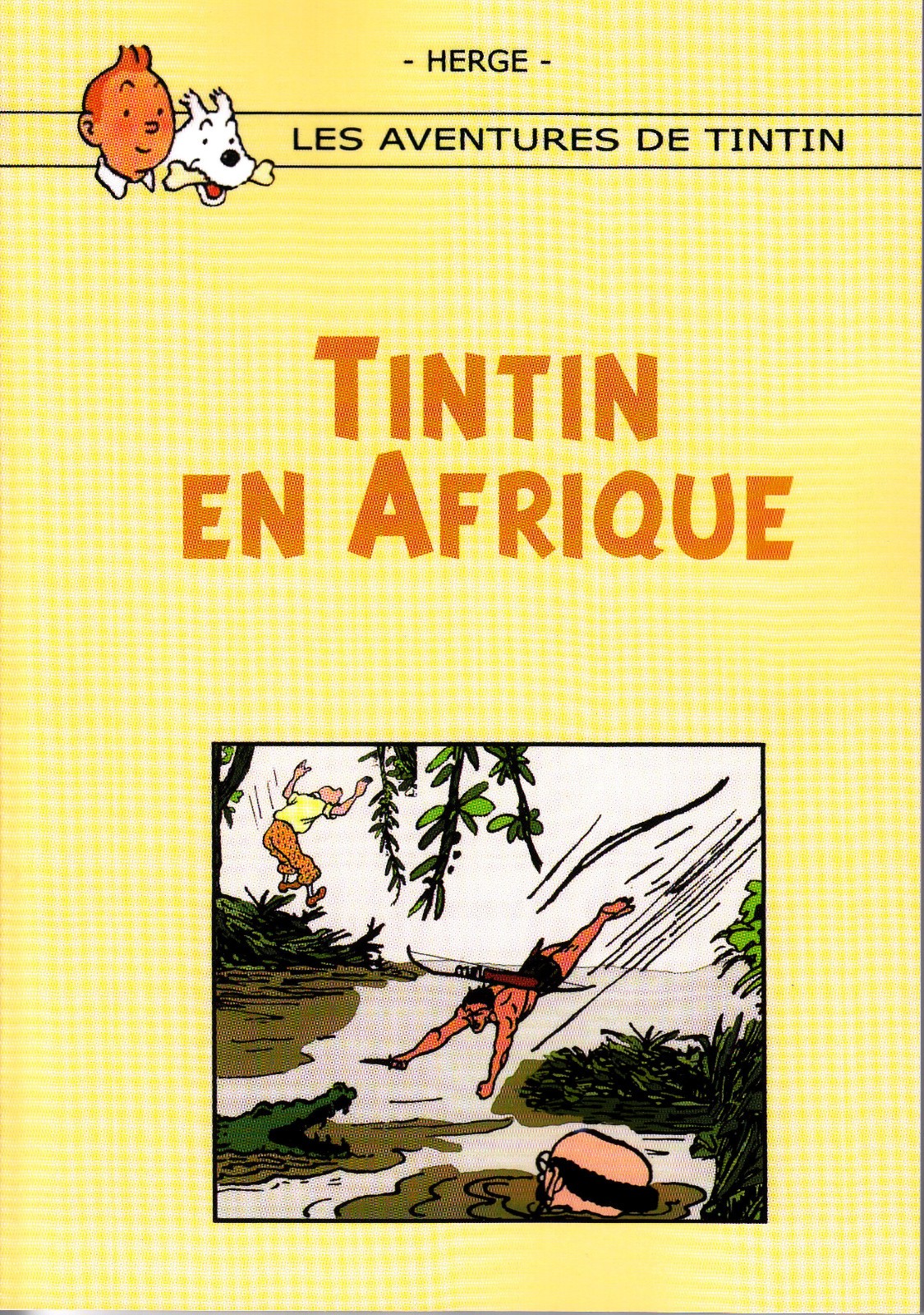 PASTICHE HOMMAGE A HERGE TINTIN EN AFRIQUE GRANDES IMAGES 96 PAGES