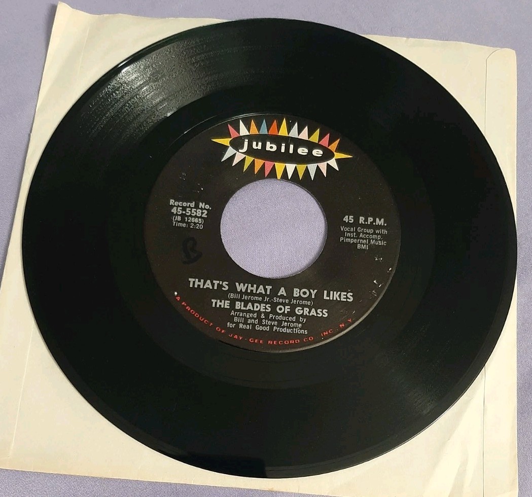 The Blades Of Grass 45 Happy / That's What A Boy Likes Jubilee 45-5582 vg+
