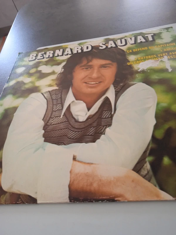 vinyle bernard sauvat compilation