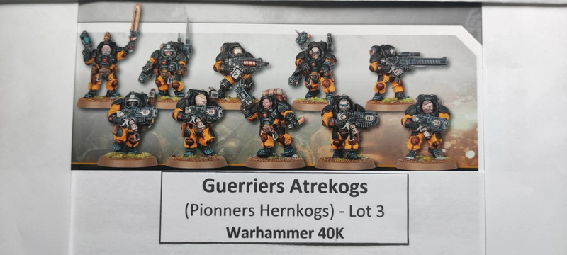 10 Guerriers atrekogs (Pionniers Hernkogs) - Lot 3 - 40K