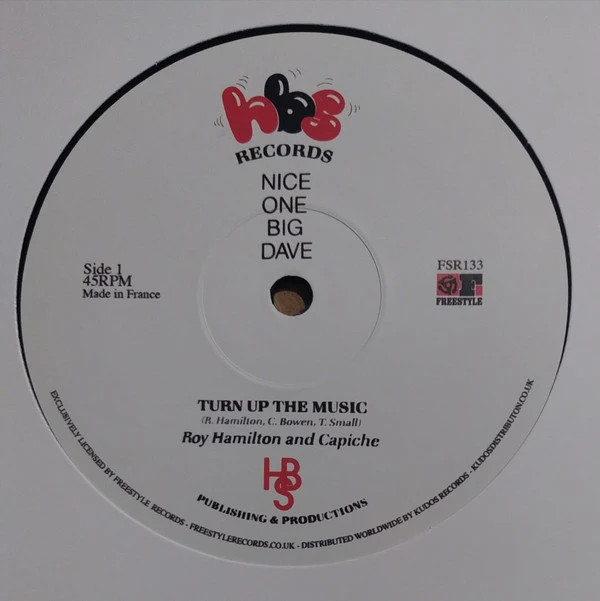 Roy Hamilton And Capiche - Turn Up The Music (12")