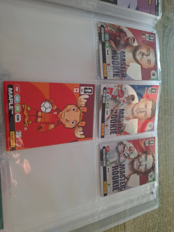 Lot de cartes Adreanlyn Panini