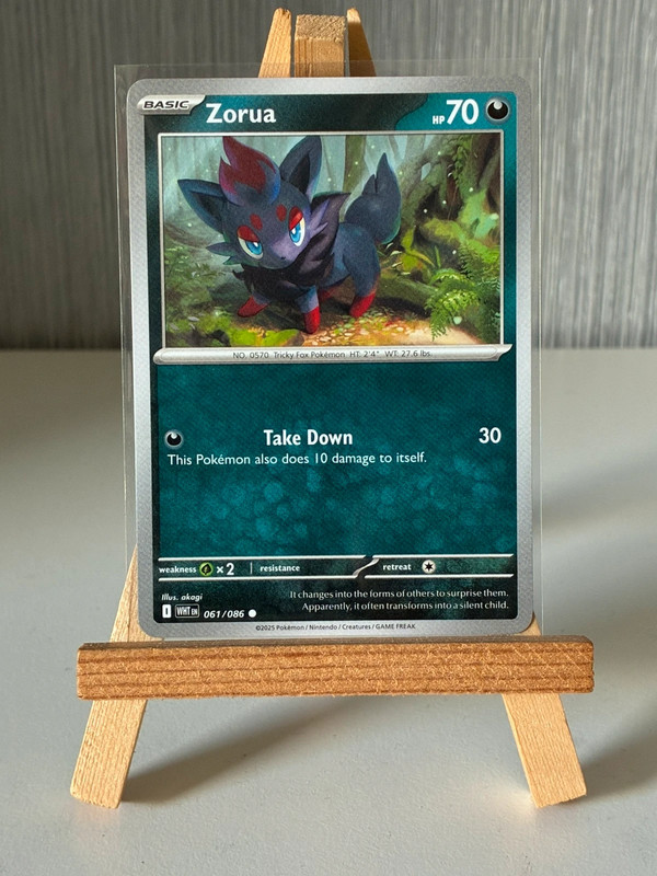 Zorua #61 Pokémon White Flare