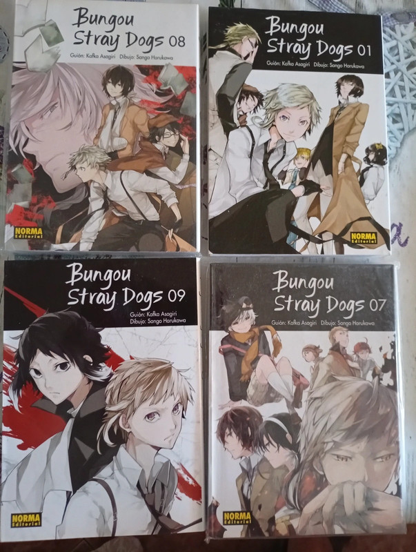 Bungou Stray dogs. Manga