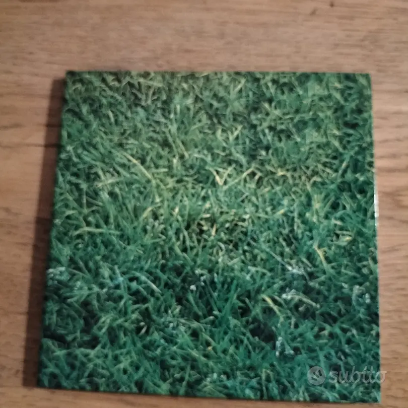 "To Allen Ginsberg" Living Music CD 