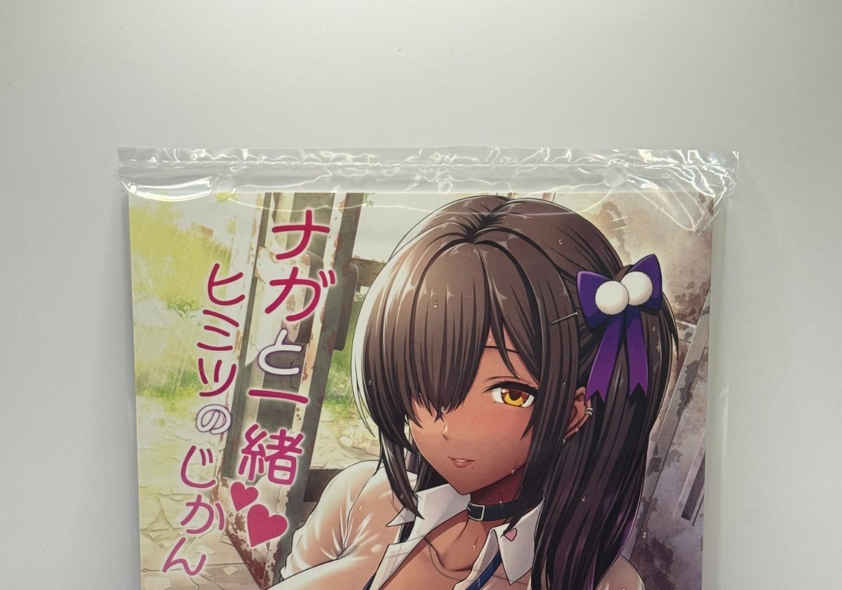 Dea della Vittoria: NIKKE Doujinshi / Illustrazione Giappone