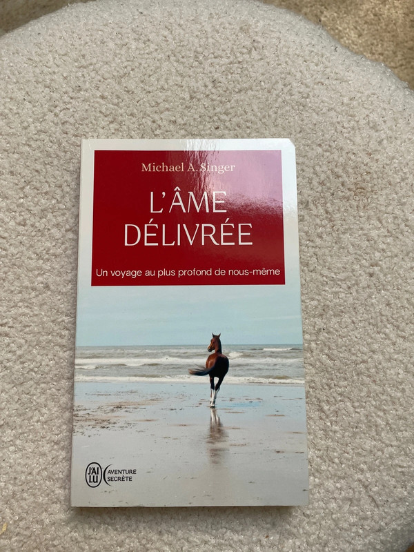 Livre L’âme délivrée